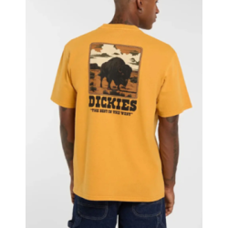DICKIES Darrtown SS Tee