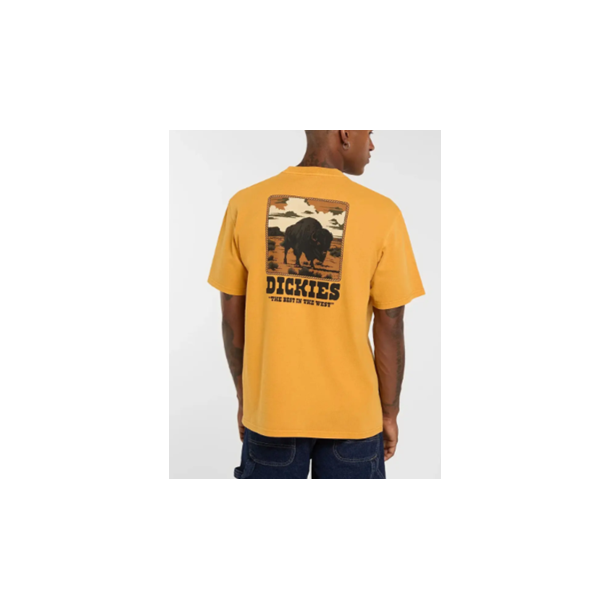 DICKIES Darrtown SS Tee