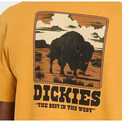 DICKIES Darrtown SS Tee