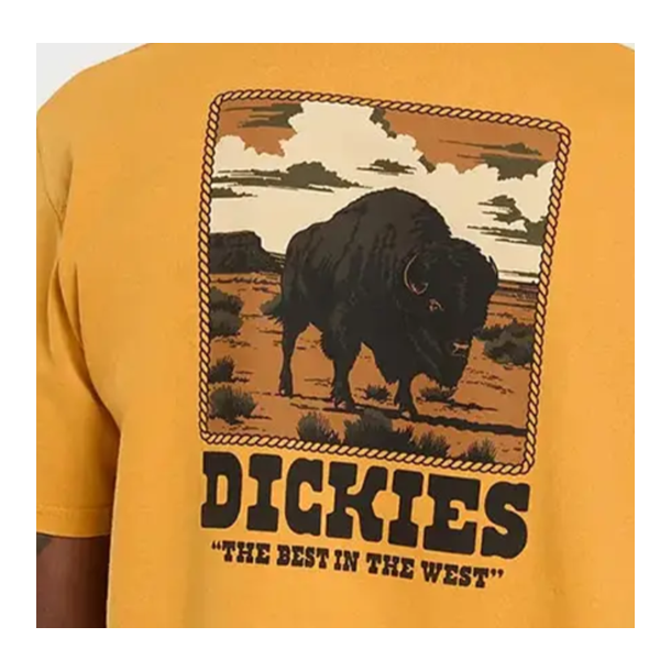 DICKIES Darrtown SS Tee